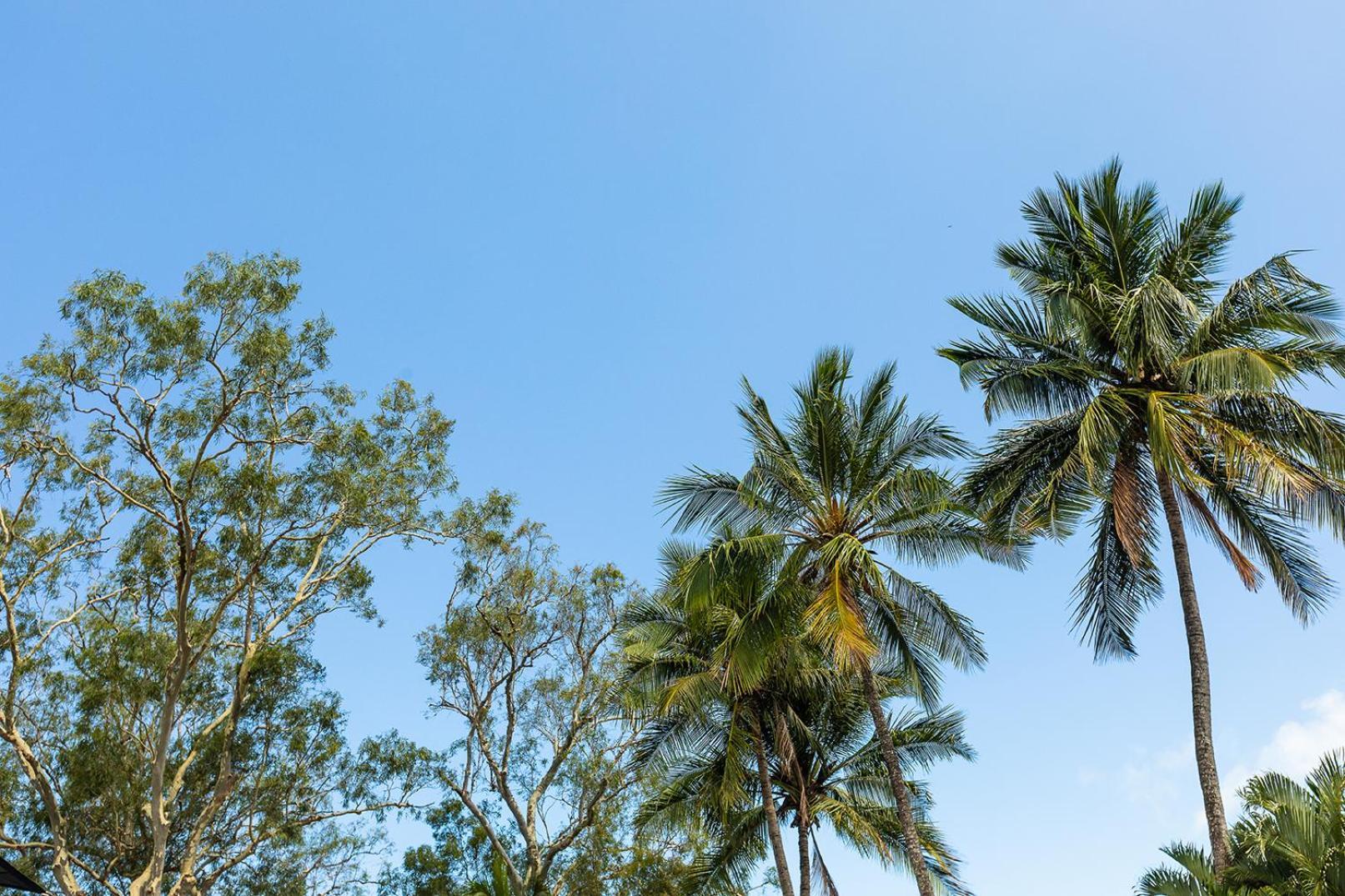 Kipara Tropical Rainforest Retreat Эйрли-Бич Экстерьер фото